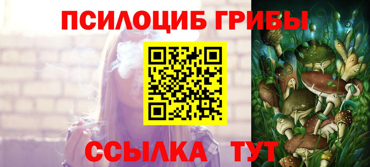 Галлюциногенные грибы ЛСД Кингисепп